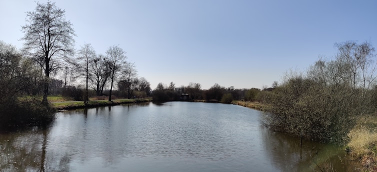 A serene landscape featuring calm water and soft sunlight.