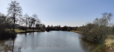 A serene landscape featuring a calm body of water reflecting trees under a clear sky.