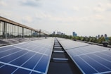 A row of solar panels on a rooftop stretches out towards the horizon, with reflections visible on their surfaces. In the background, a city skyline with high-rise buildings is partially obscured by trees. The sky is partly cloudy with soft, diffuse lighting.