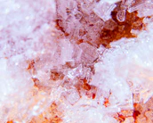 Detailed visualization of nanoscale structures captured by our atomic force microscope.