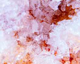 Detailed visualization of nanoscale structures captured by our atomic force microscope.