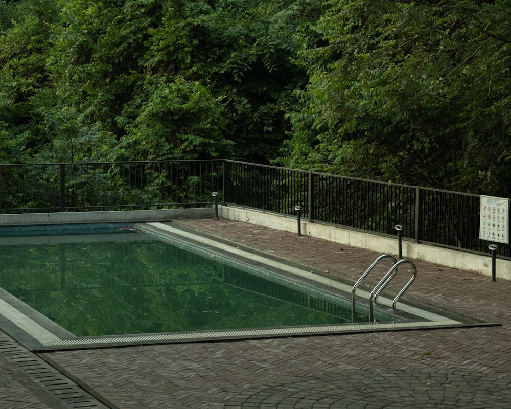 green trees beside swimming pool