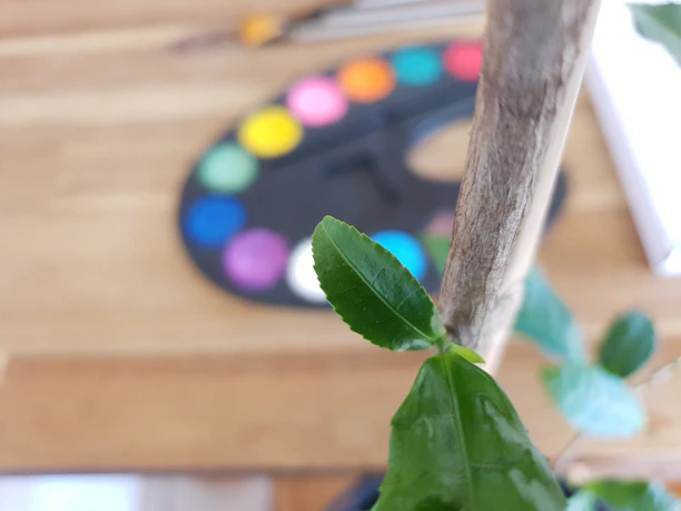 A close-up of hands painting vibrant leaves on a canvas outdoors.