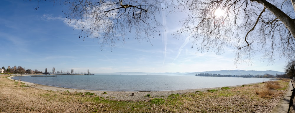 green grass field near body of water during daytime