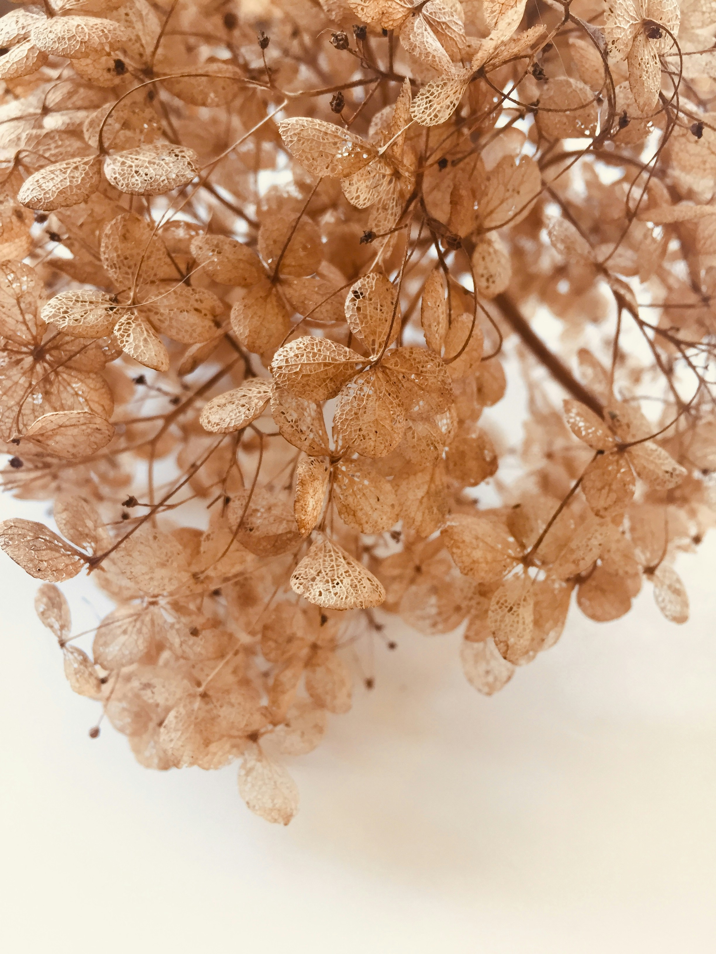 Photo by rosannagaddoni