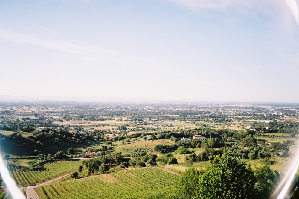 campo di erba verde sotto il cielo bianco durante il giorno