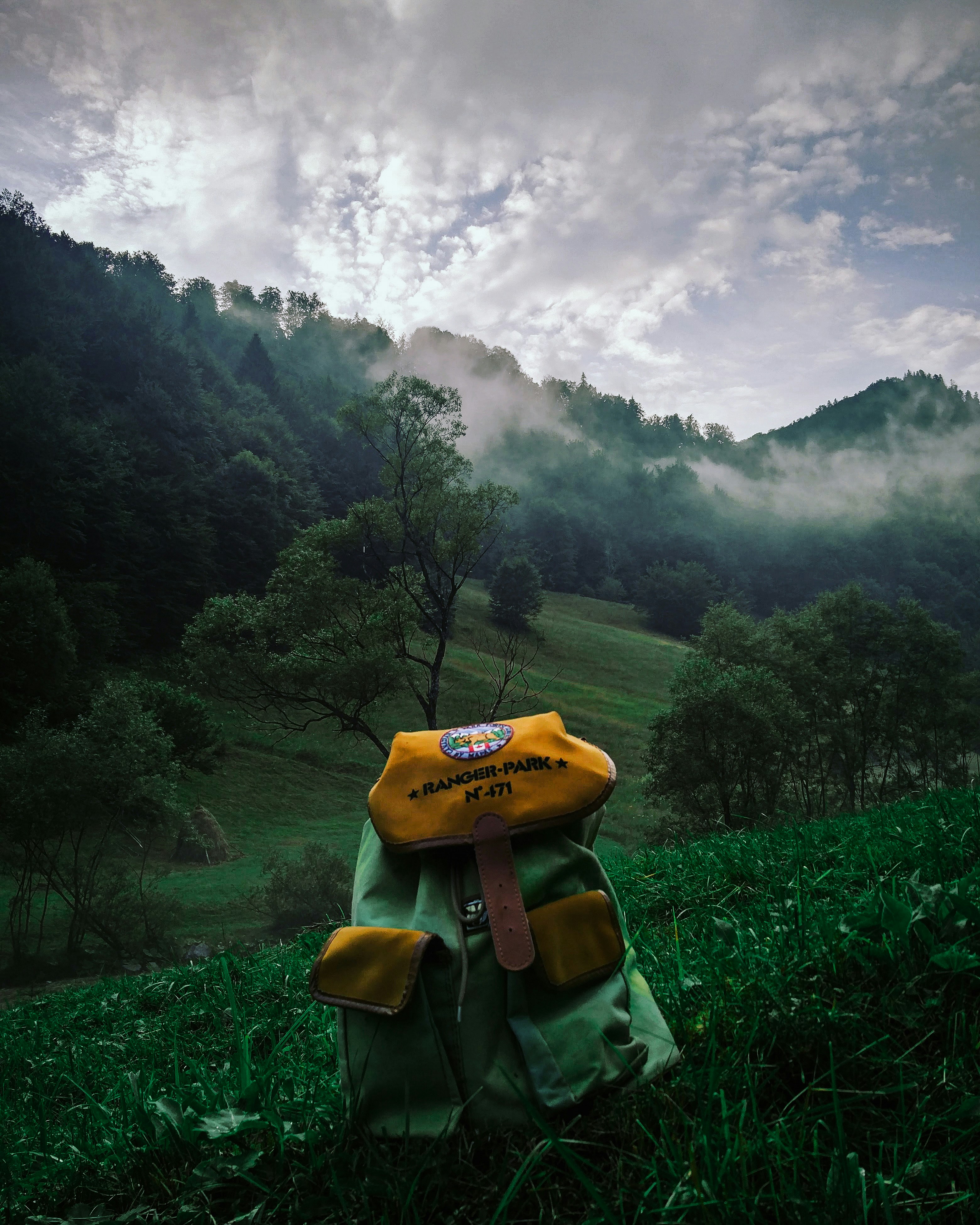 person in yellow and green jacket wearing yellow and black backpack standing on green grass field
