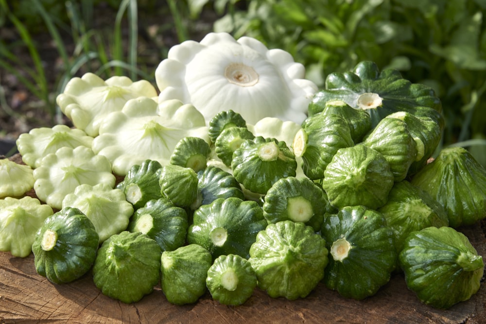 white flower with green leaves