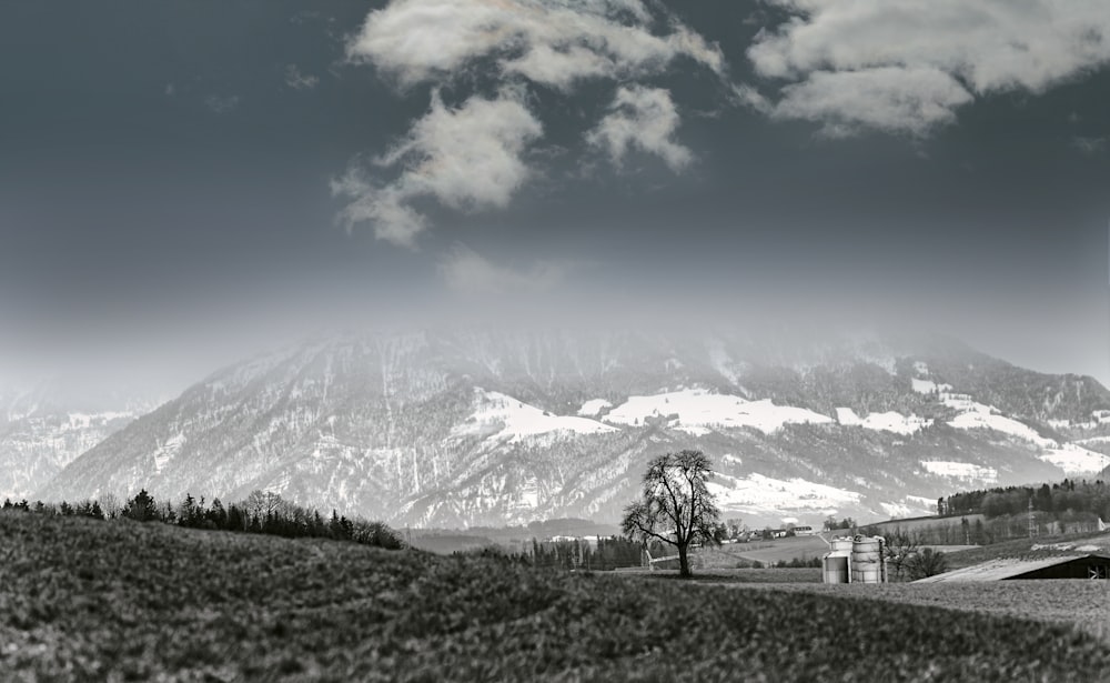 green grass field near snow covered mountain under blue sky during daytime