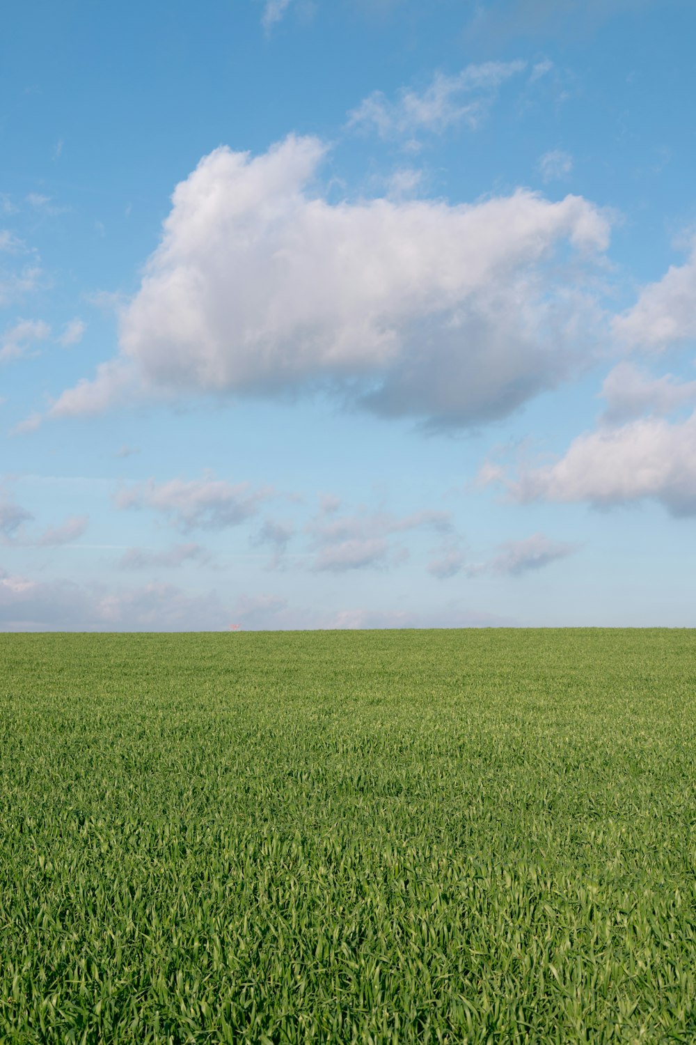 green grass field under white clouds during daytime