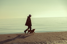 dogAdvisor | dogadvisor | dog advisor |dogAdvisor.dog