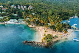 green trees near body of water during daytime