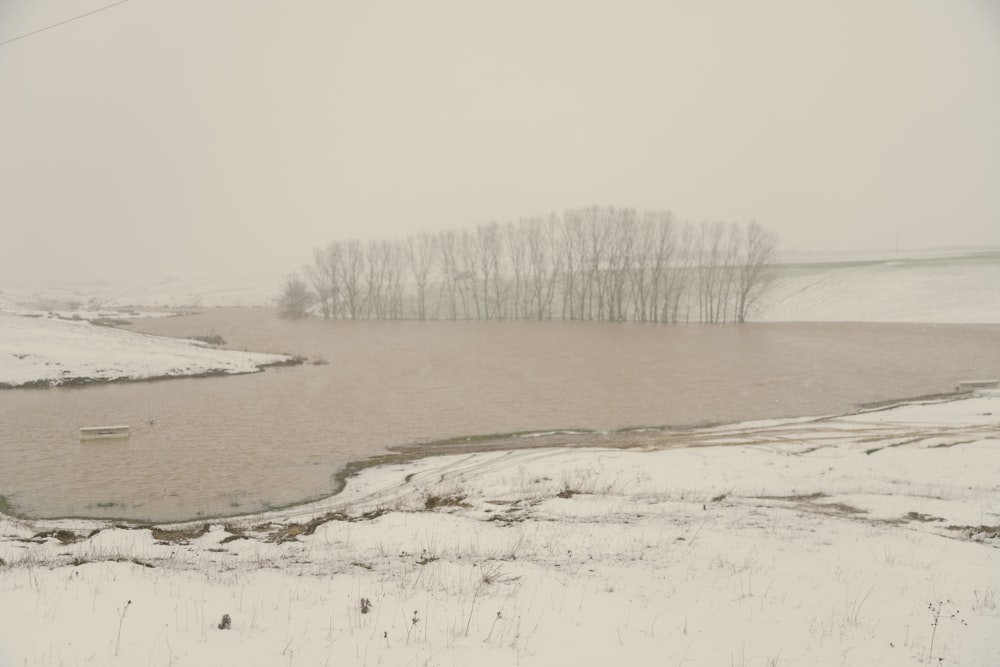 snow covered field and trees during daytime