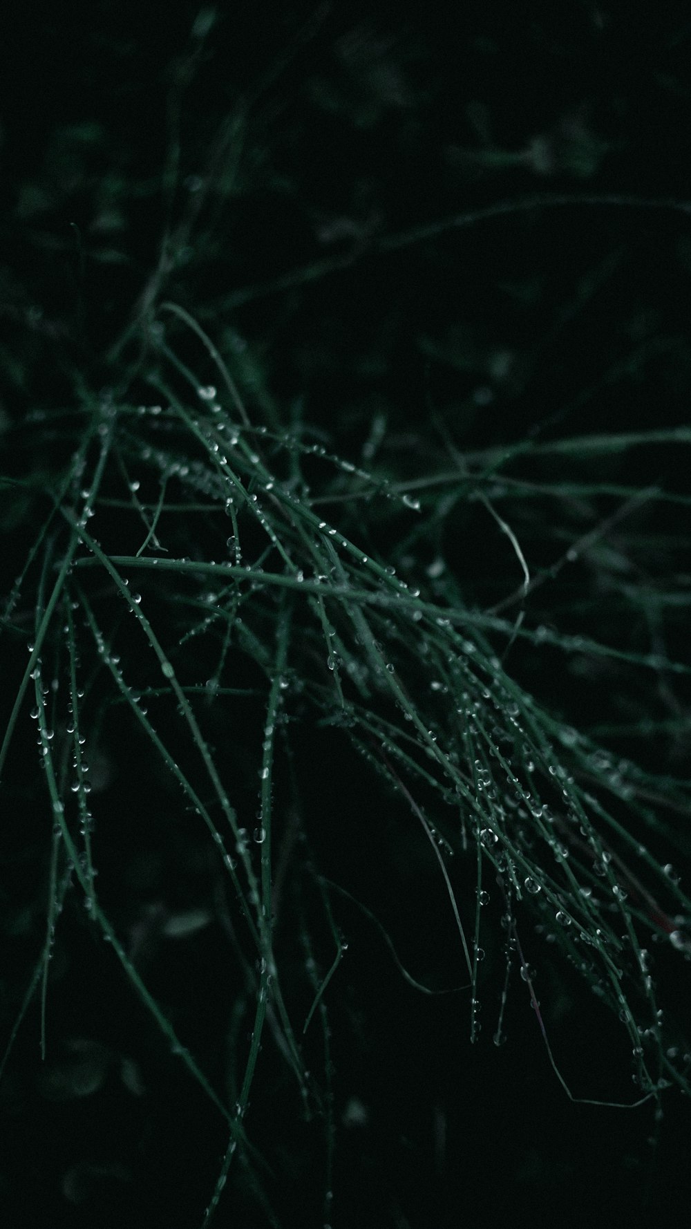 water droplets on black background