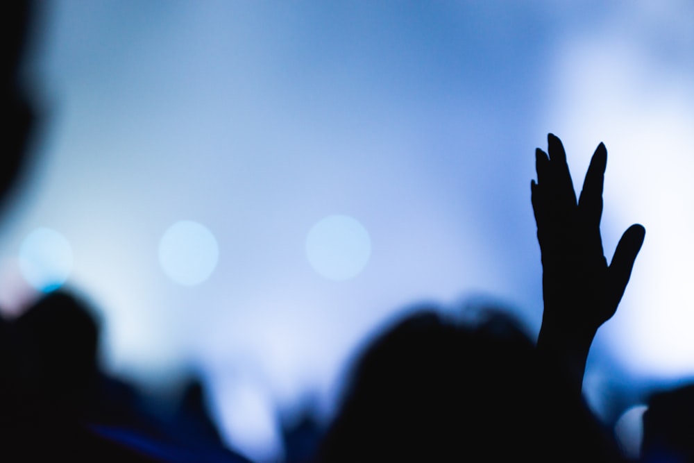 silhouette of persons hand