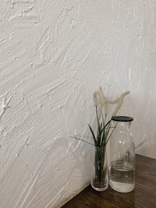Minimalist Glass Vase