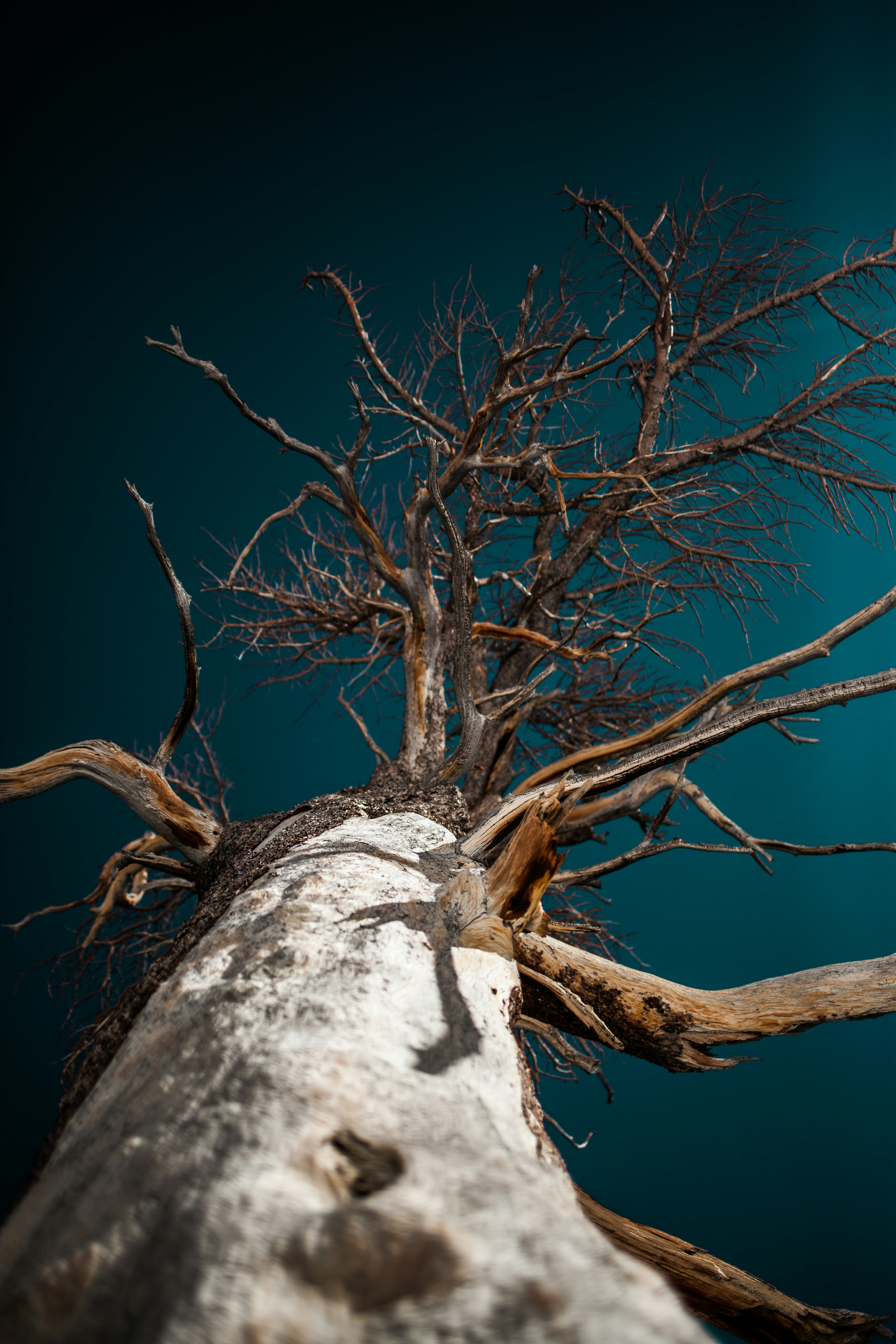 Photo by benjamin_deyoung