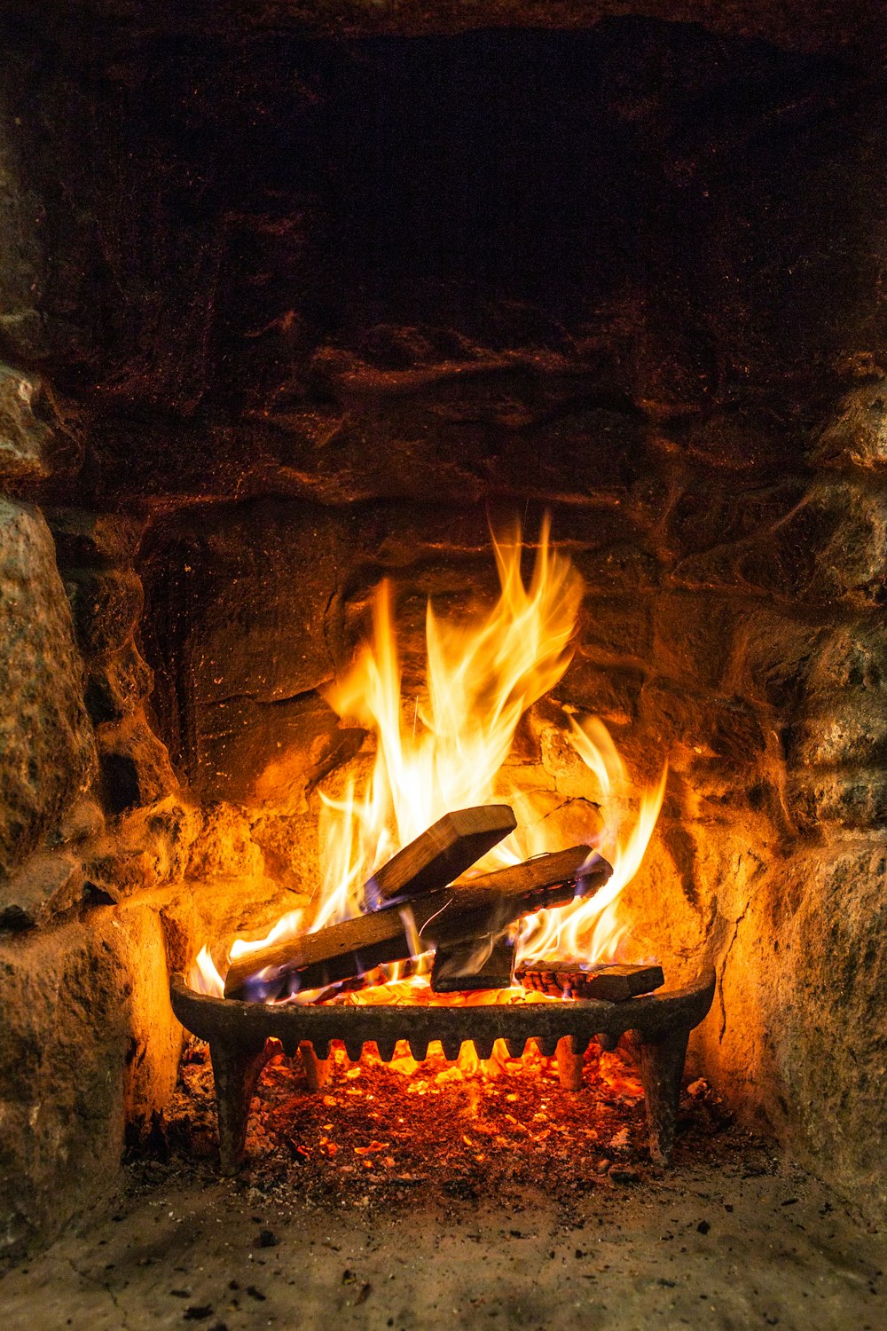 burning wood in fire pit