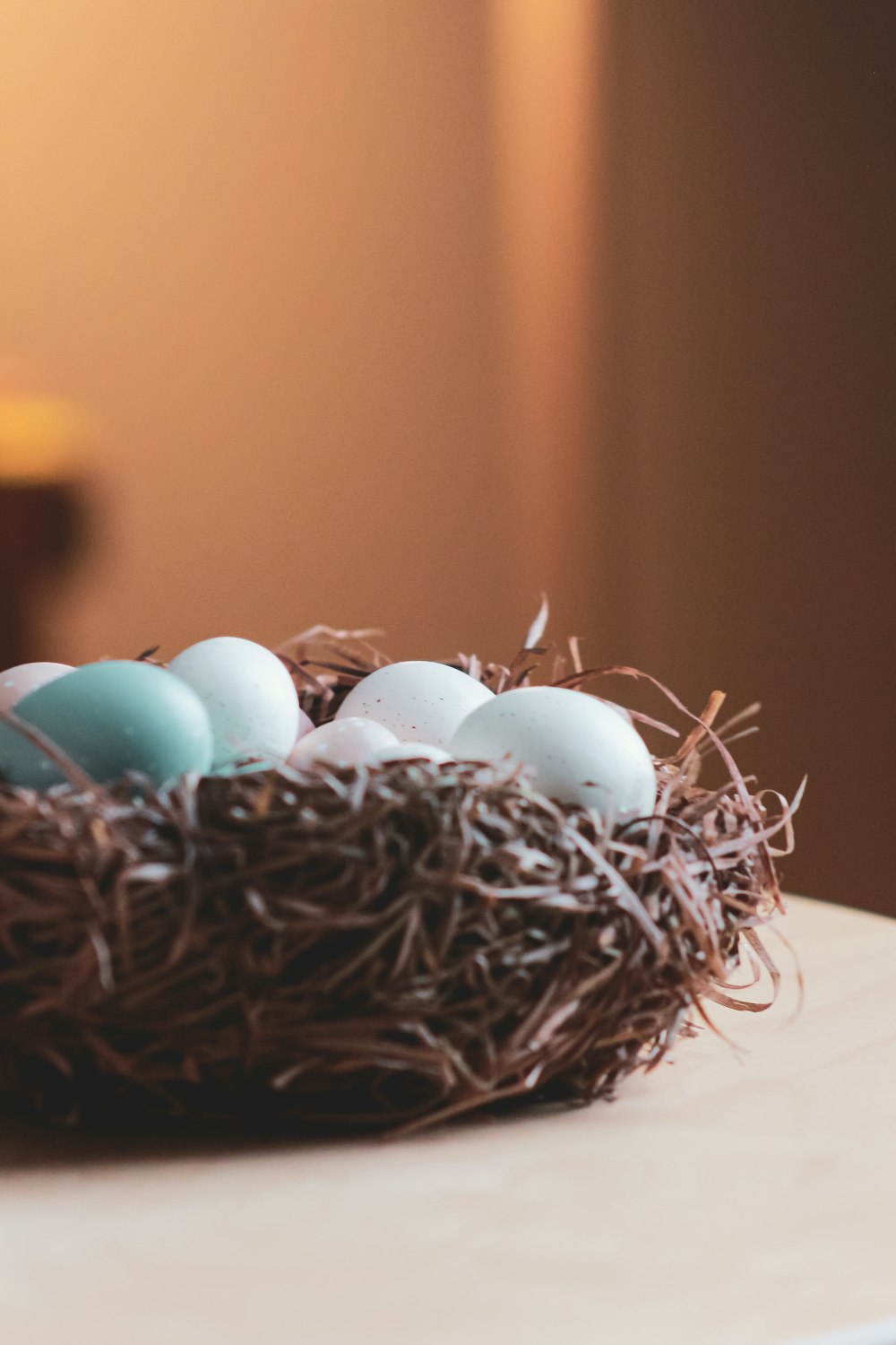 white and blue egg on brown nest