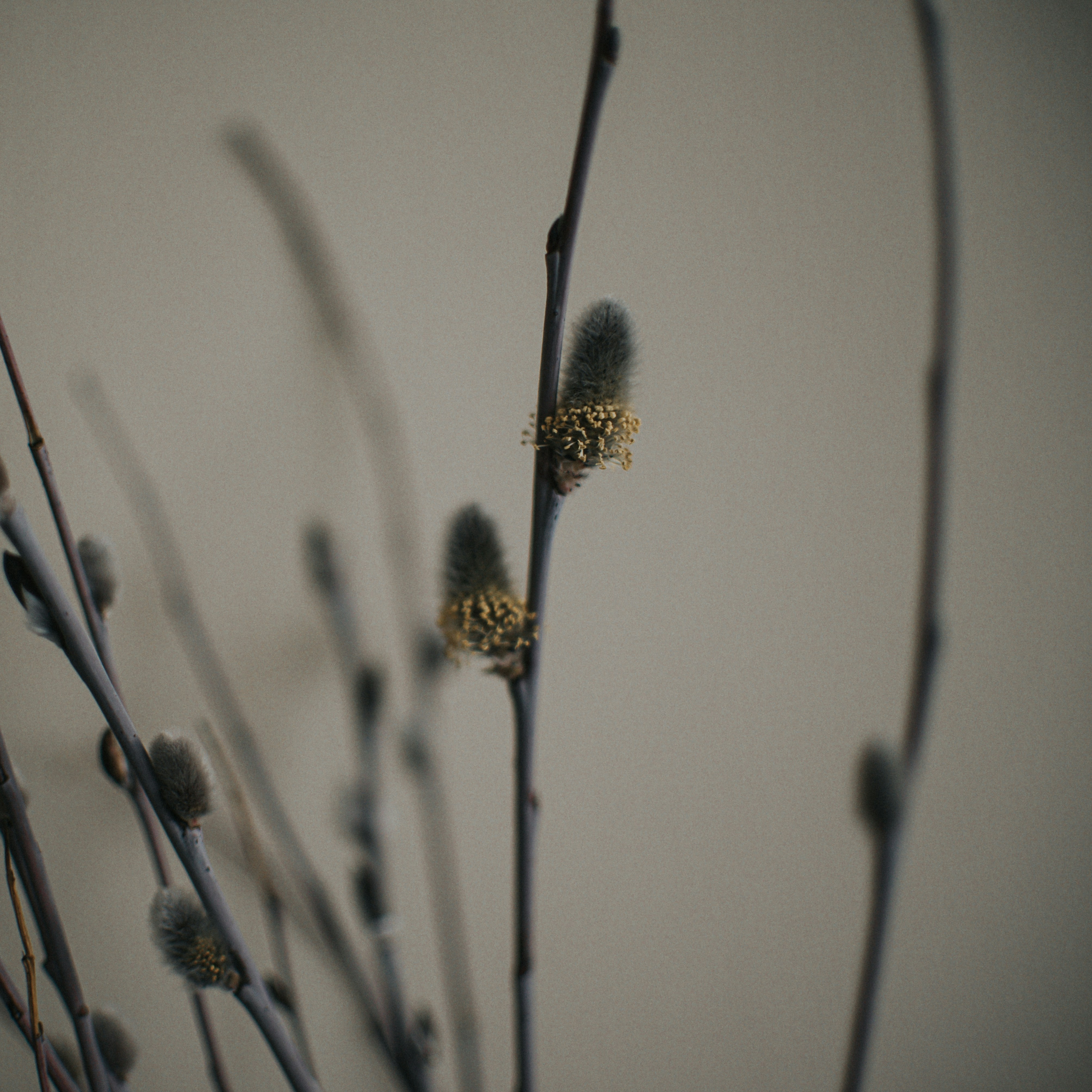 Photo by mar_ziolkowska