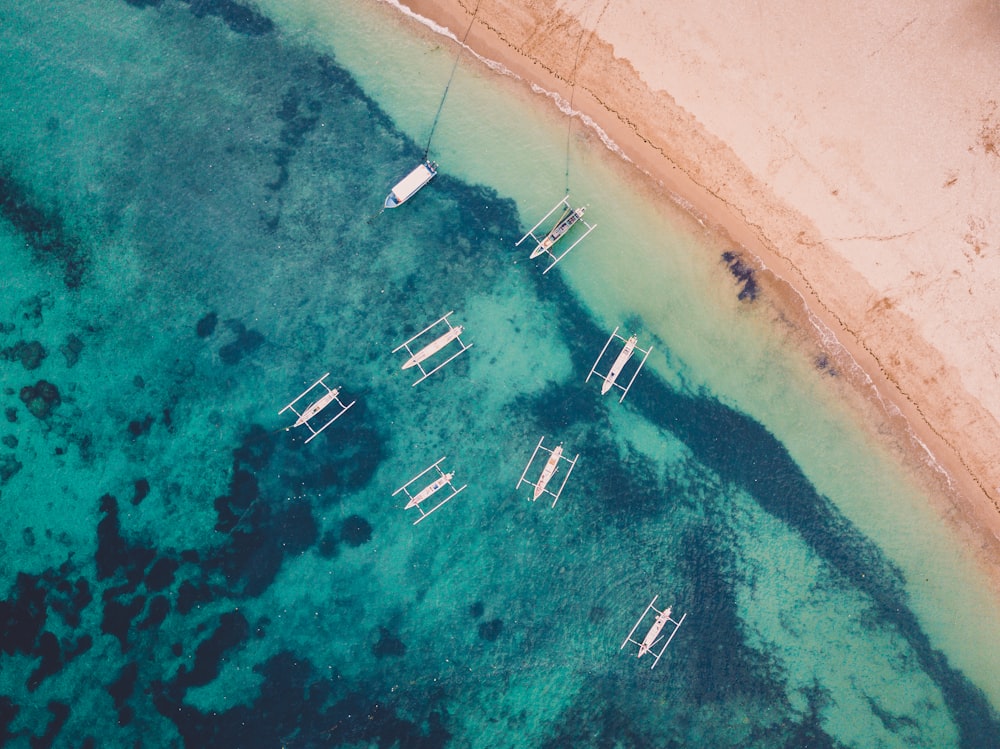 aerial view of boats on sea shore during daytime