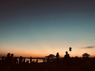 A group of people gathered outdoors at twilight learning about dark sky preservation.