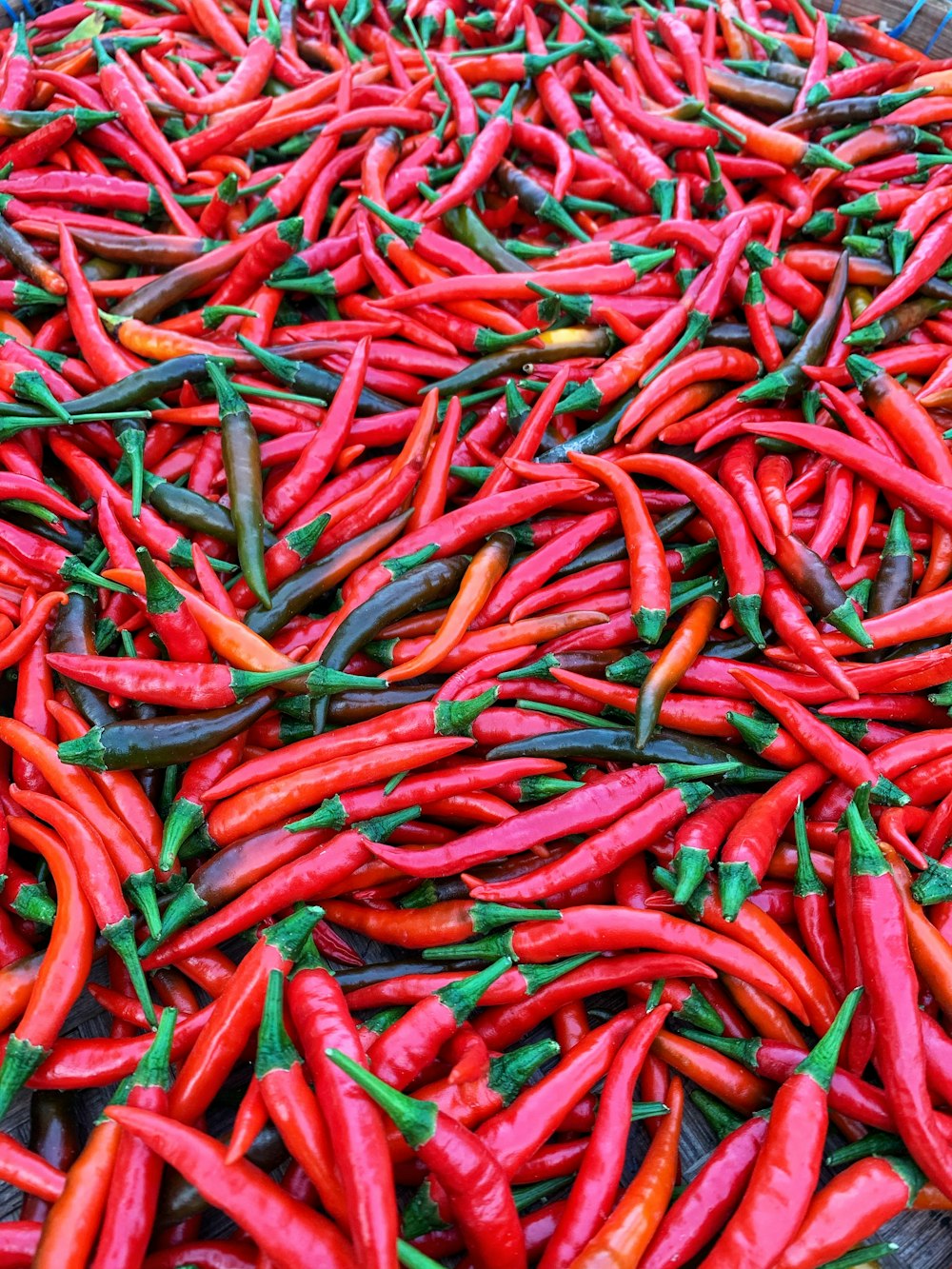 red chili lot on red textile