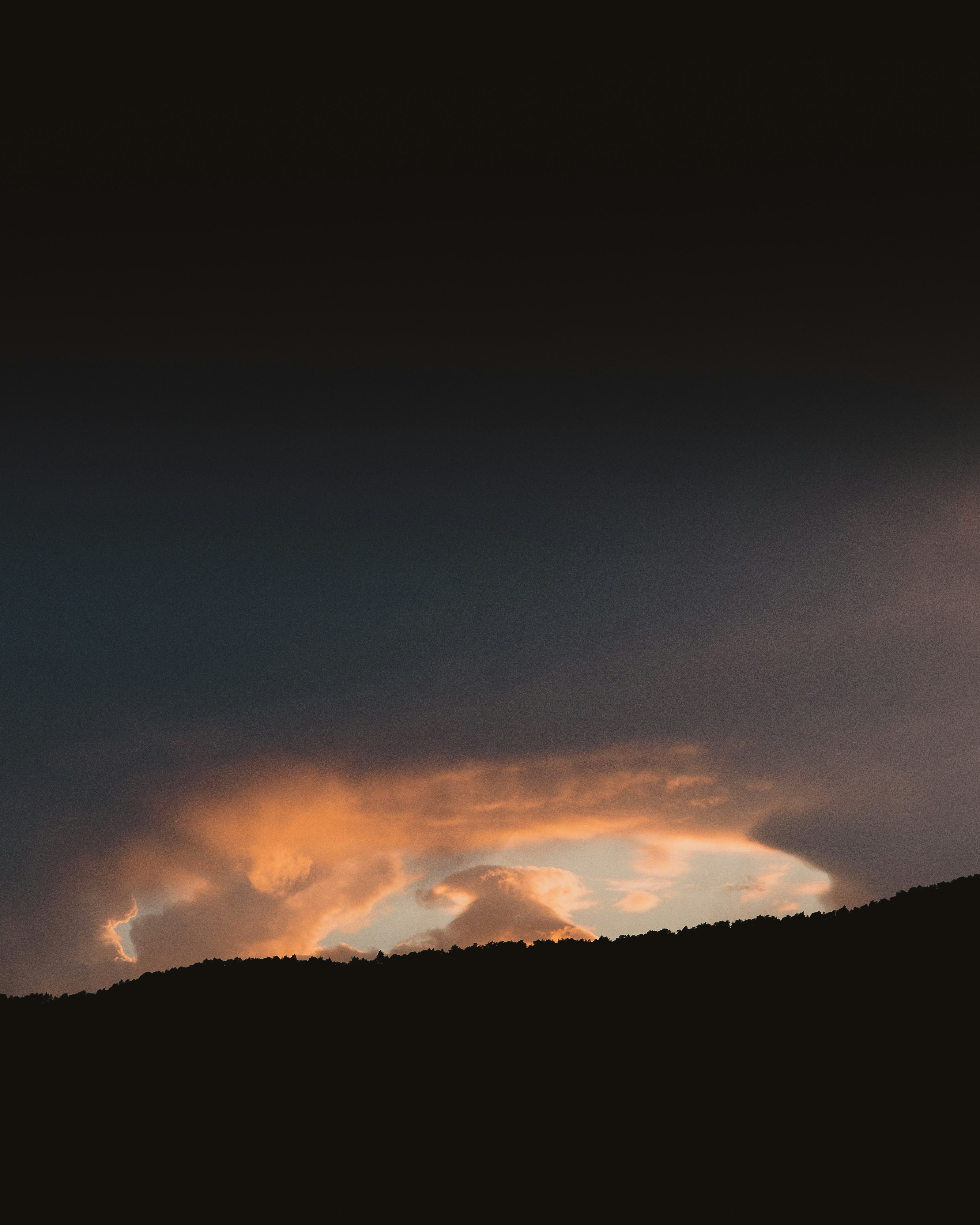 Photo by michielannaert