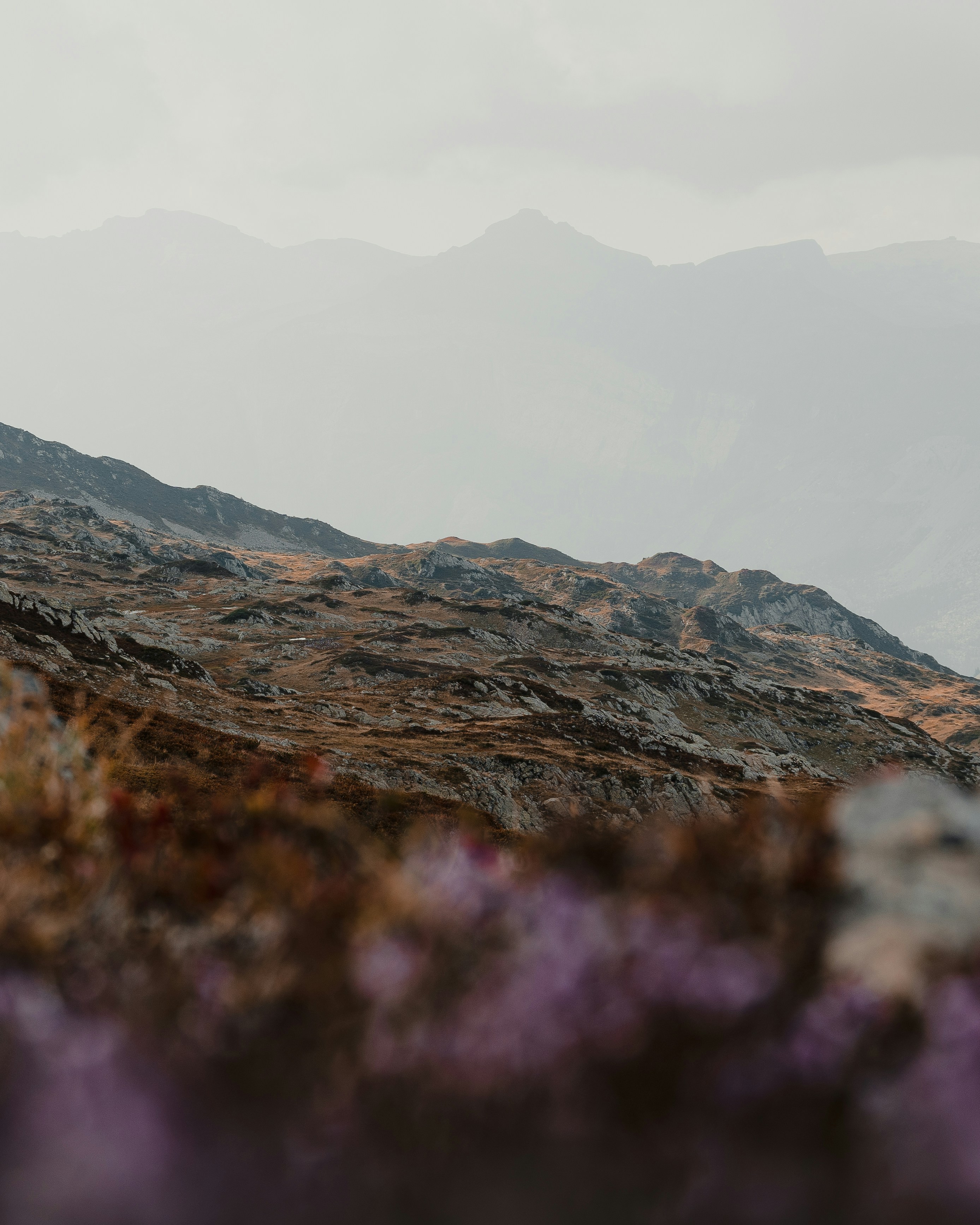 Photo by michielannaert