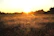 A cozy lodge chalet bathed in early morning golden light with a scenic view of the Namibian landscape.