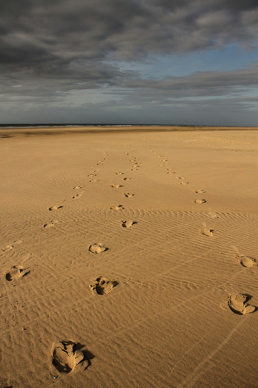 footprints on brown sand during daytime