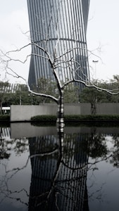 Timeless Beauty Essentials