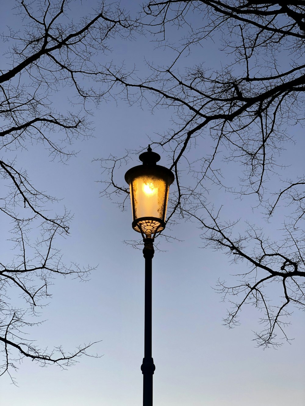 black street lamp near bare trees during daytime
