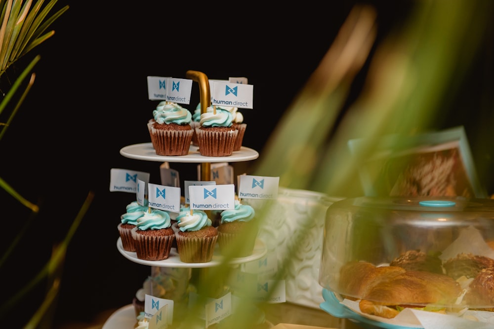 cupcakes on white plastic tray