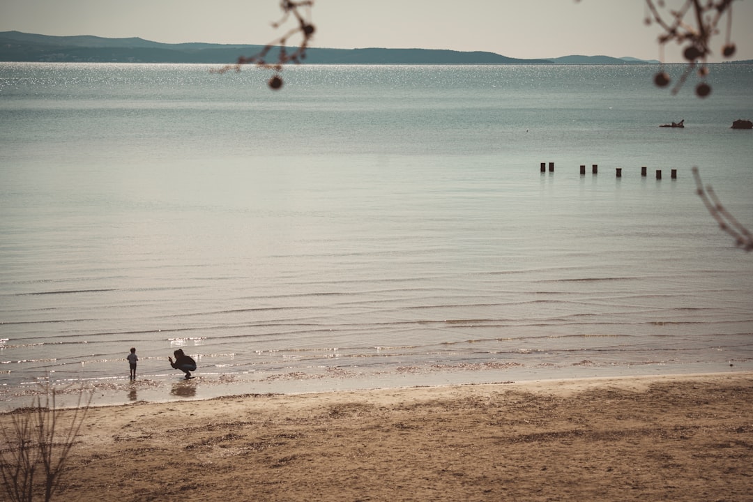 people walking on beach during daytime