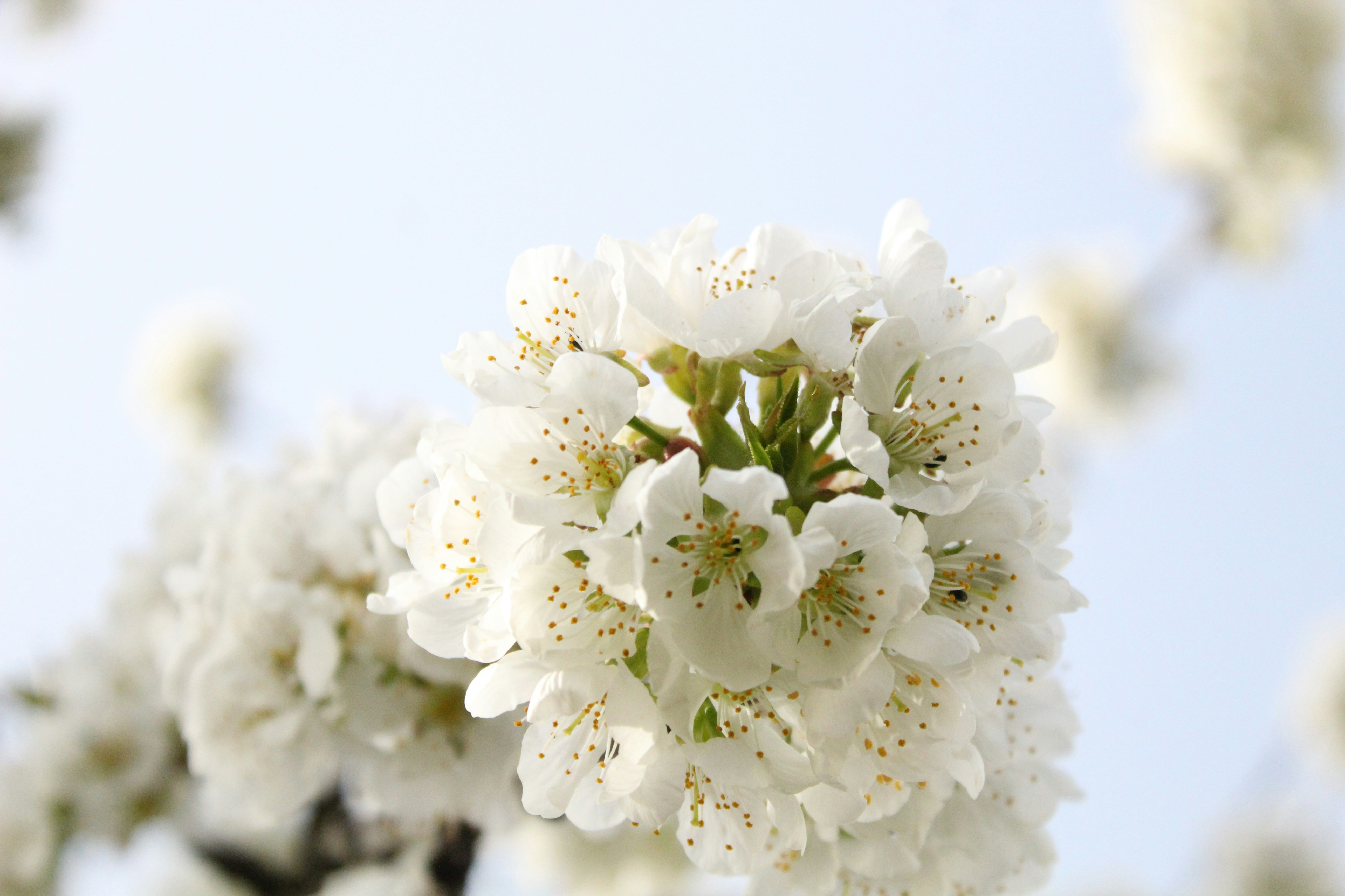 Photo by priscille_m