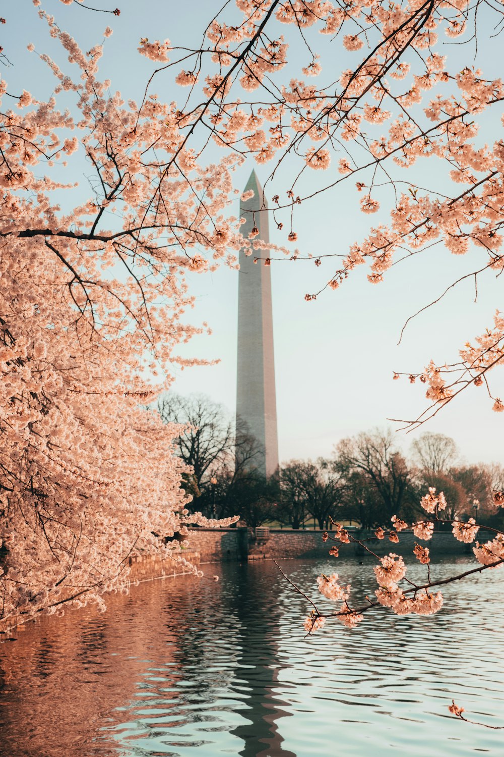 white and gray tower near body of water