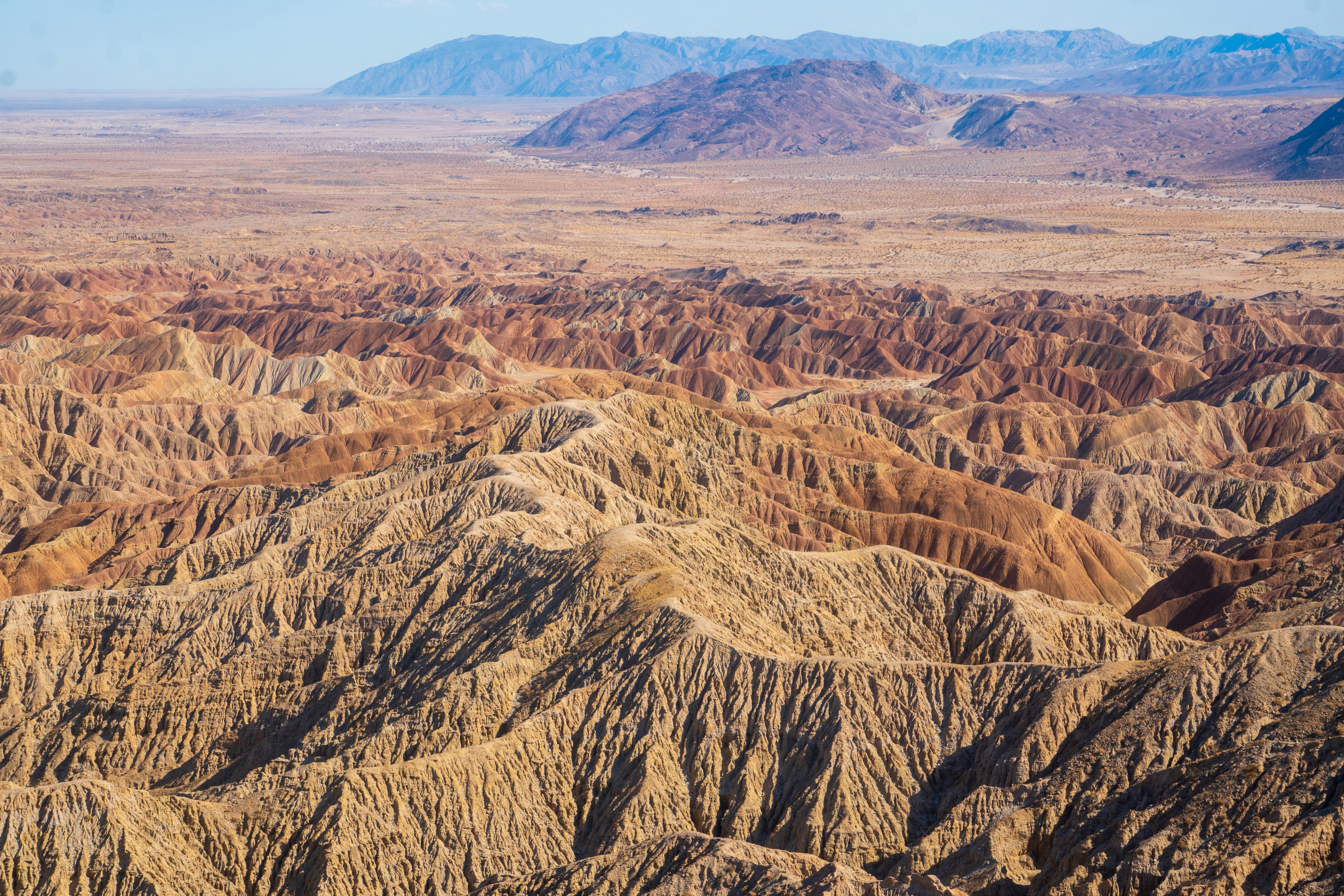 Photo by pmayorphotos