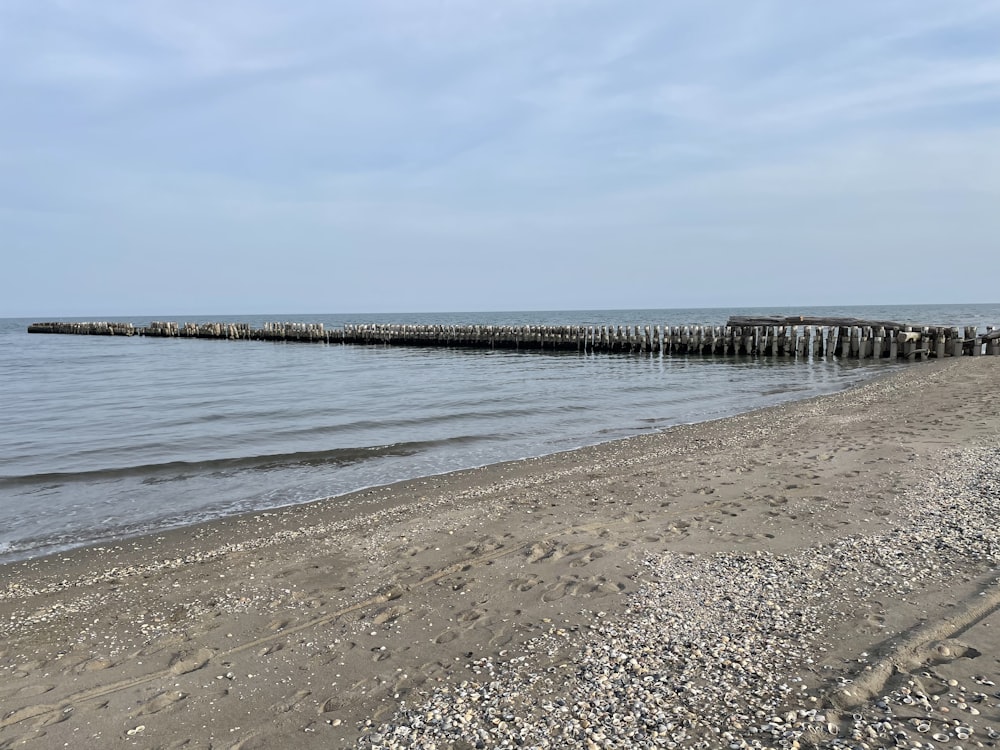 brown wooden dock on sea under white clouds during daytime