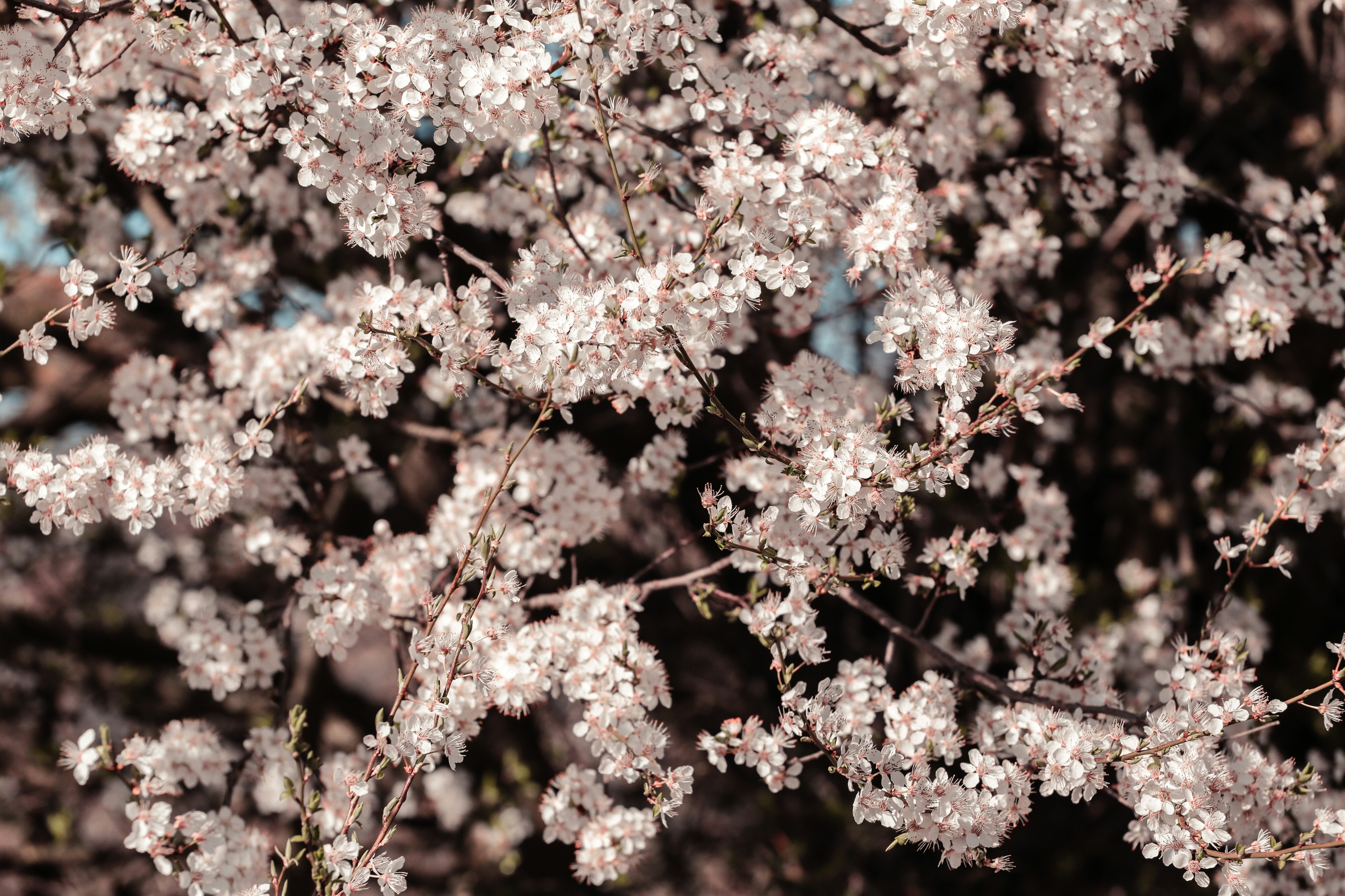 Photo by eugenezhyvchik