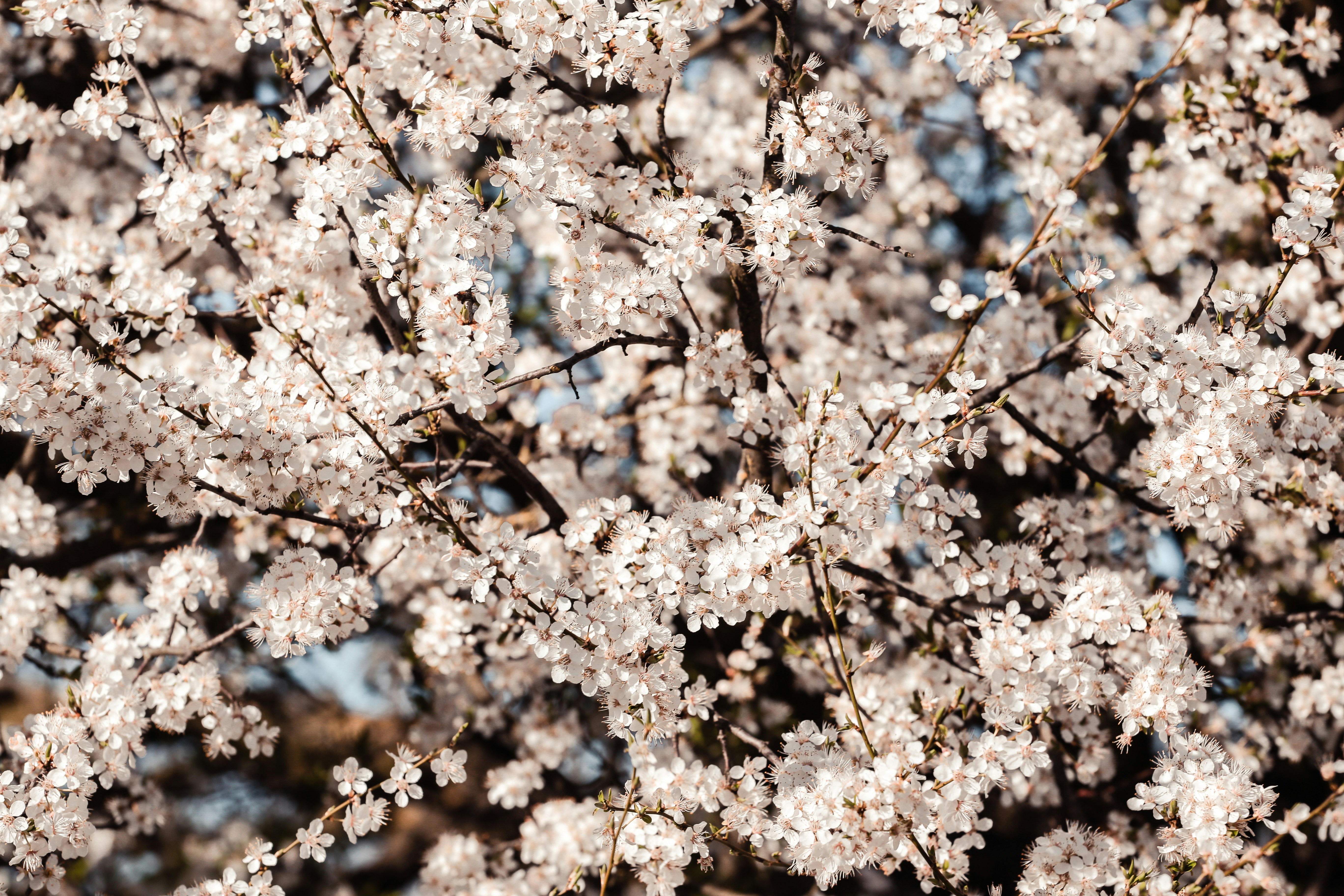 Photo by eugenezhyvchik