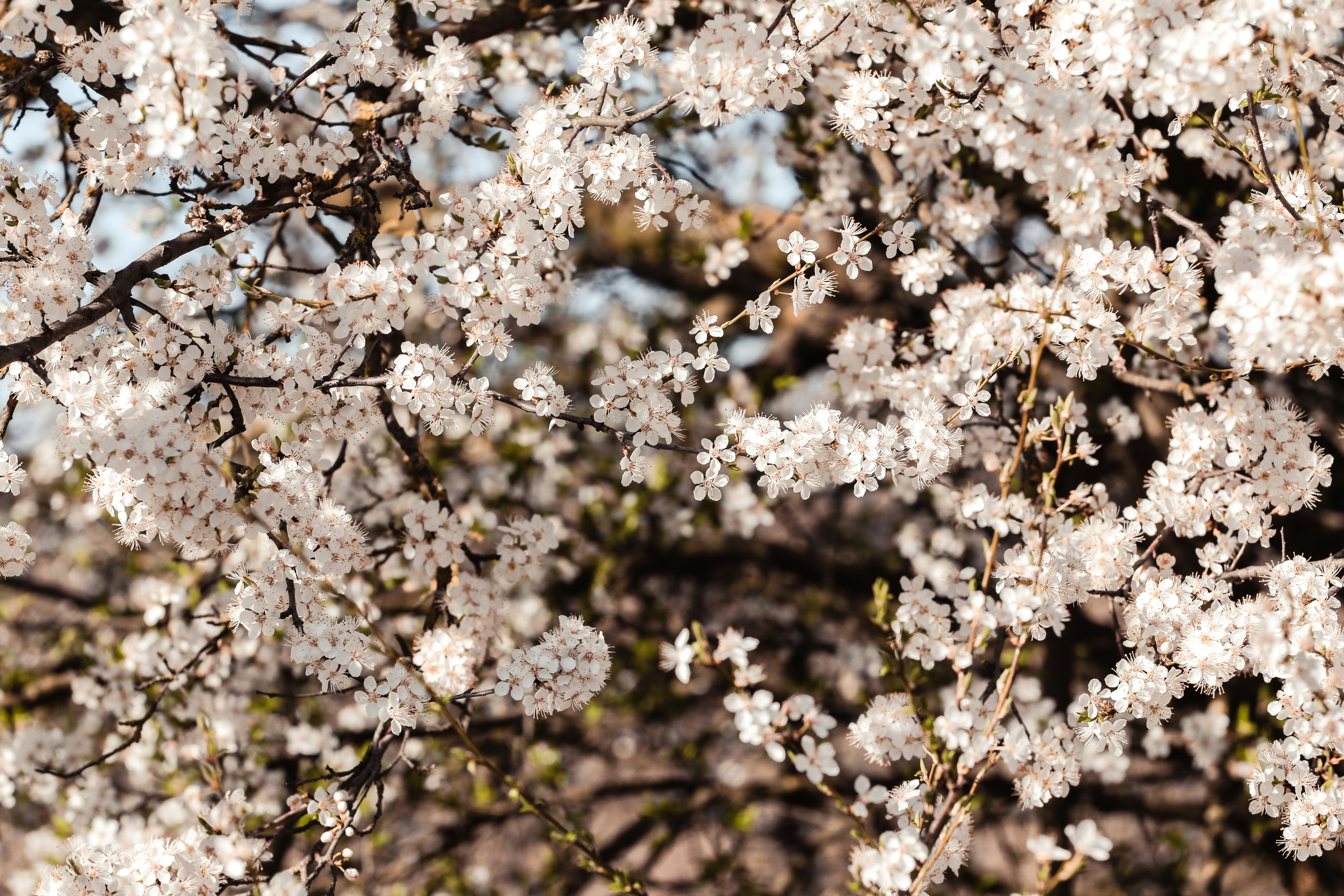 Photo by eugenezhyvchik