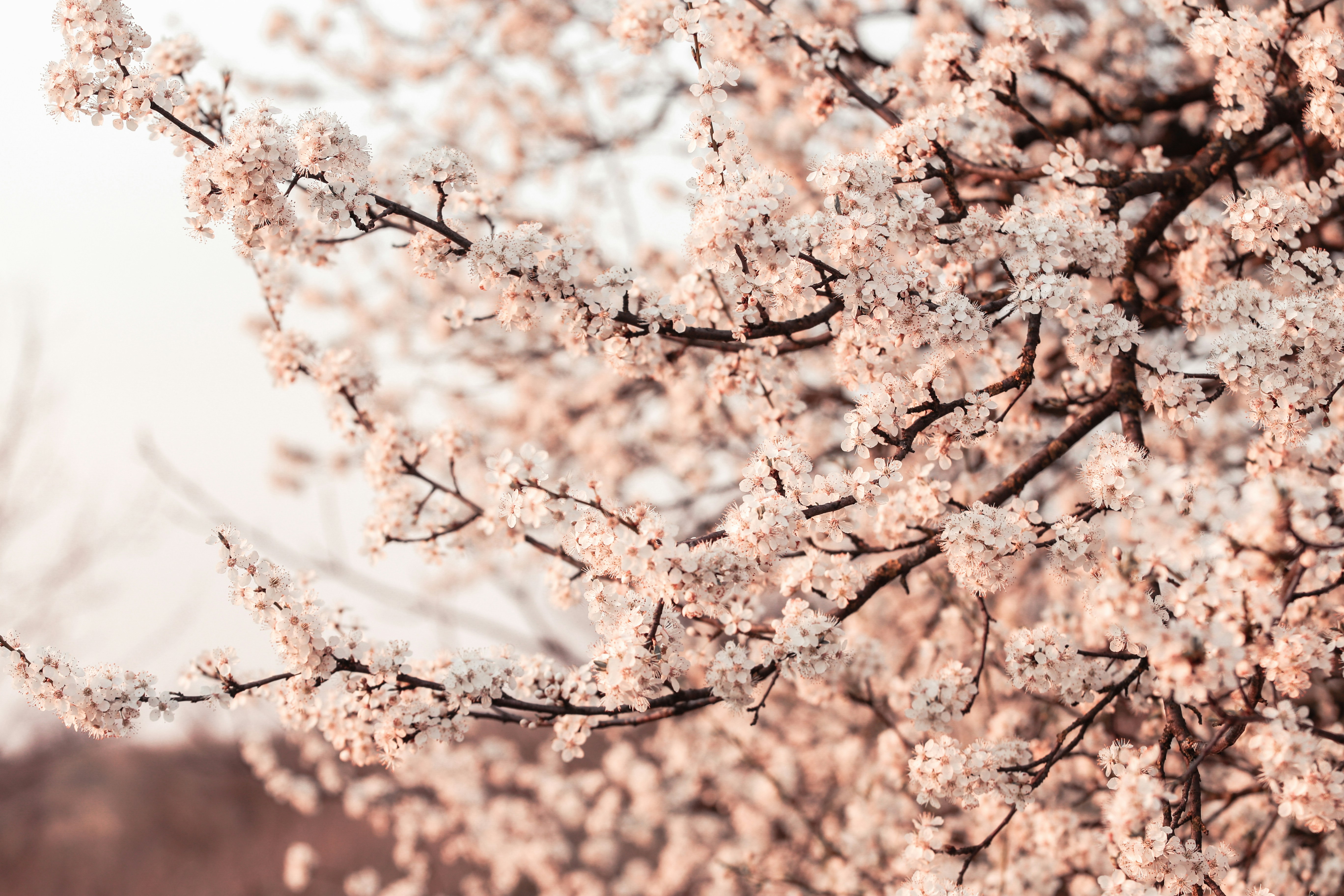 Photo by eugenezhyvchik