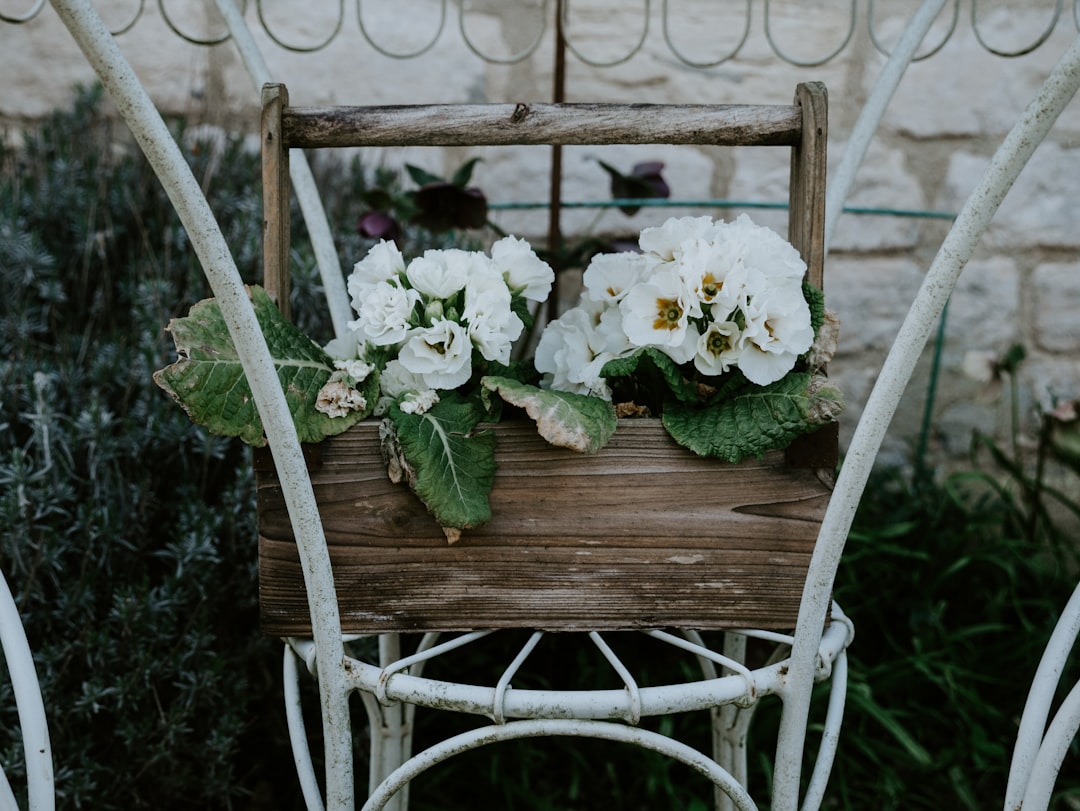 white flowers on brown wooden swing