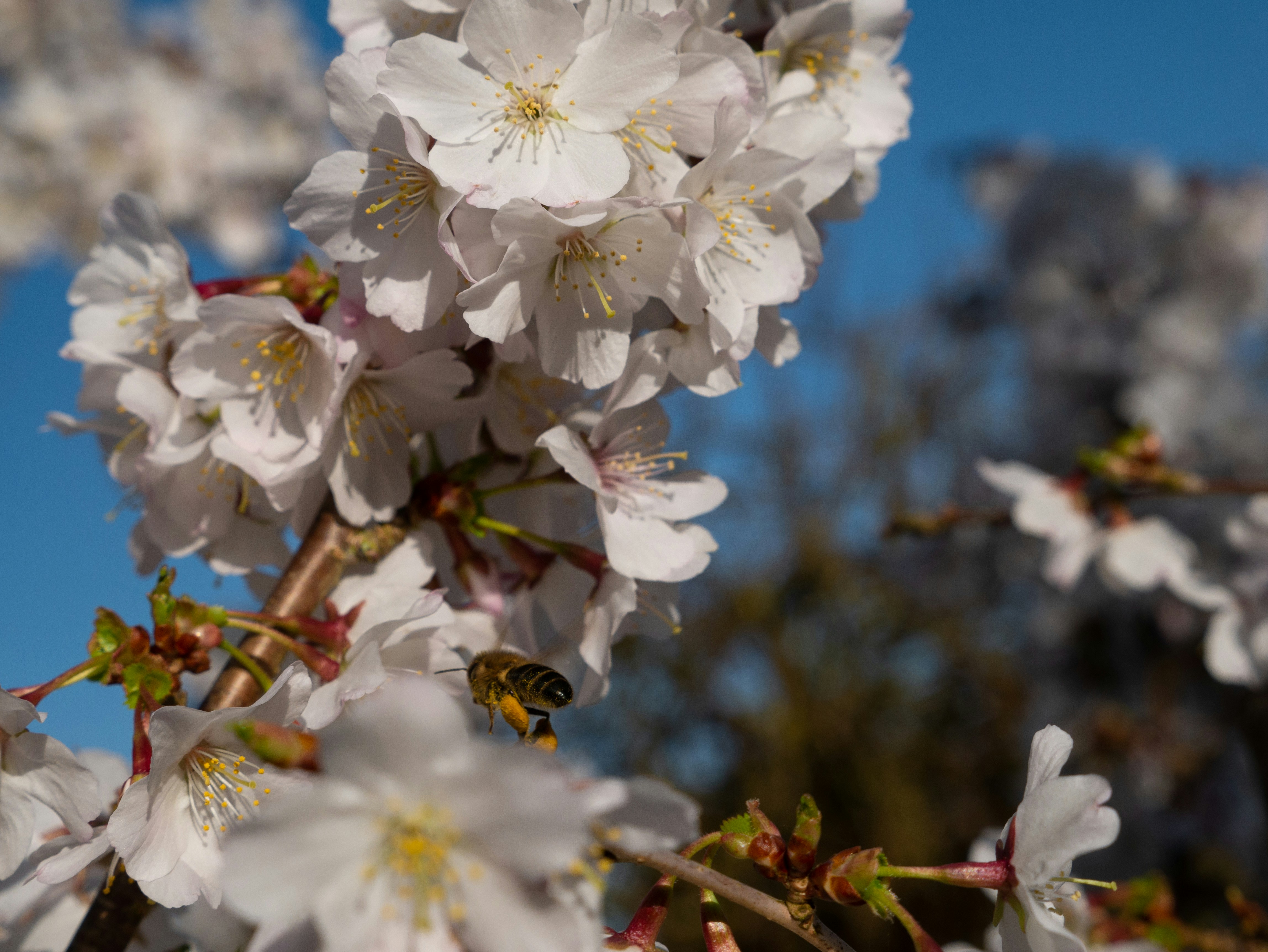 Photo by mattseymour