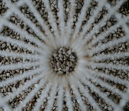 An artistic composition featuring pebbles arranged in a circular pattern with a focus blur effect. Concentric rings of pebbles create a hypnotic spiral, surrounded by a mix of gray, white, and brown stones.