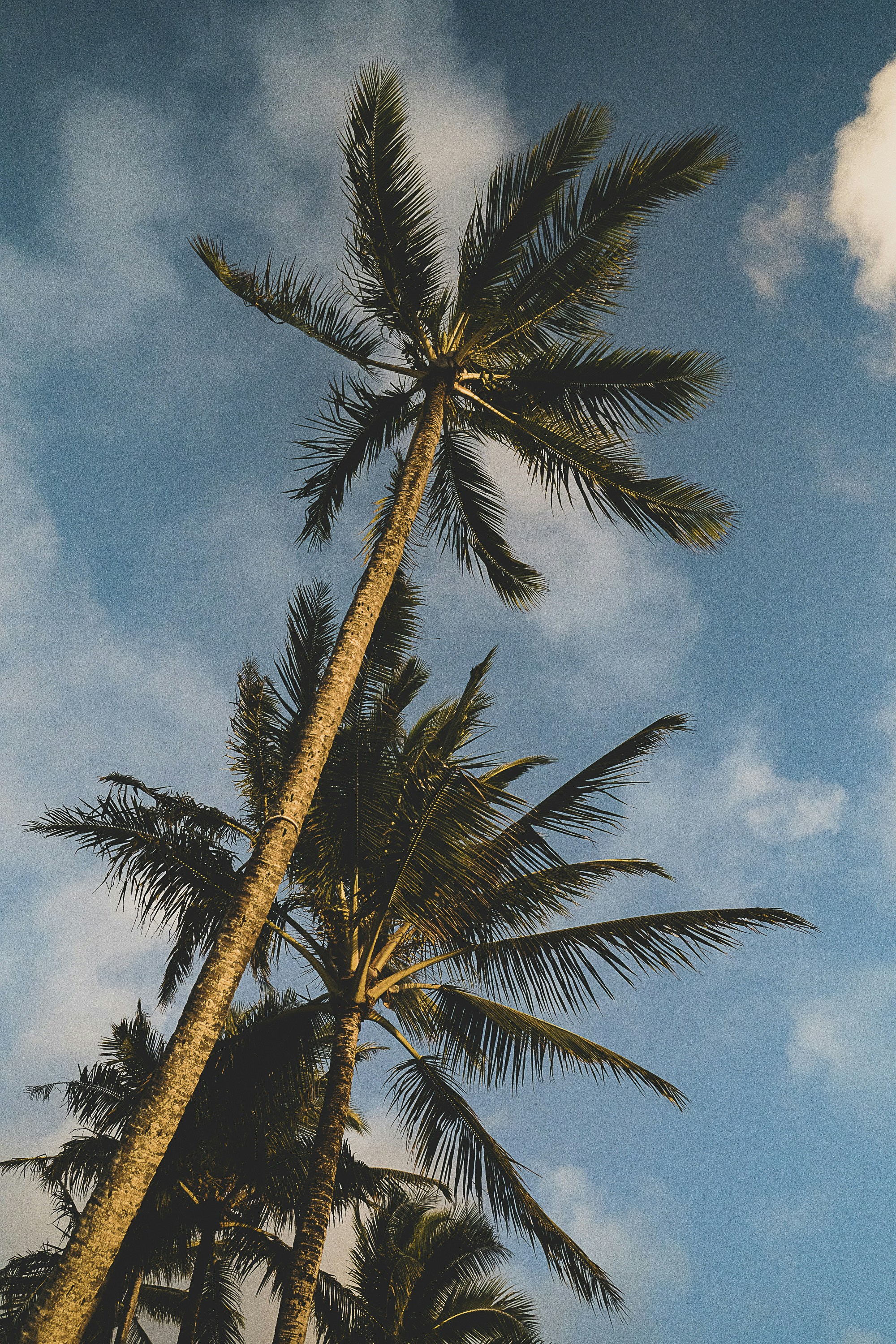 Photo by jess_adventures808