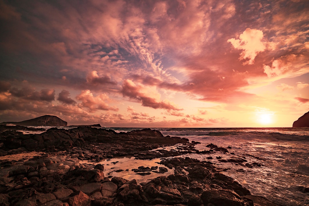 rocky shore under cloudy sky during daytime