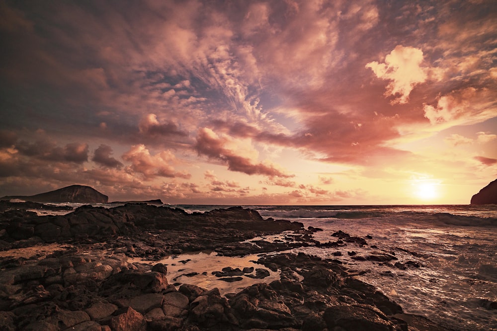 rocky shore under cloudy sky during daytime