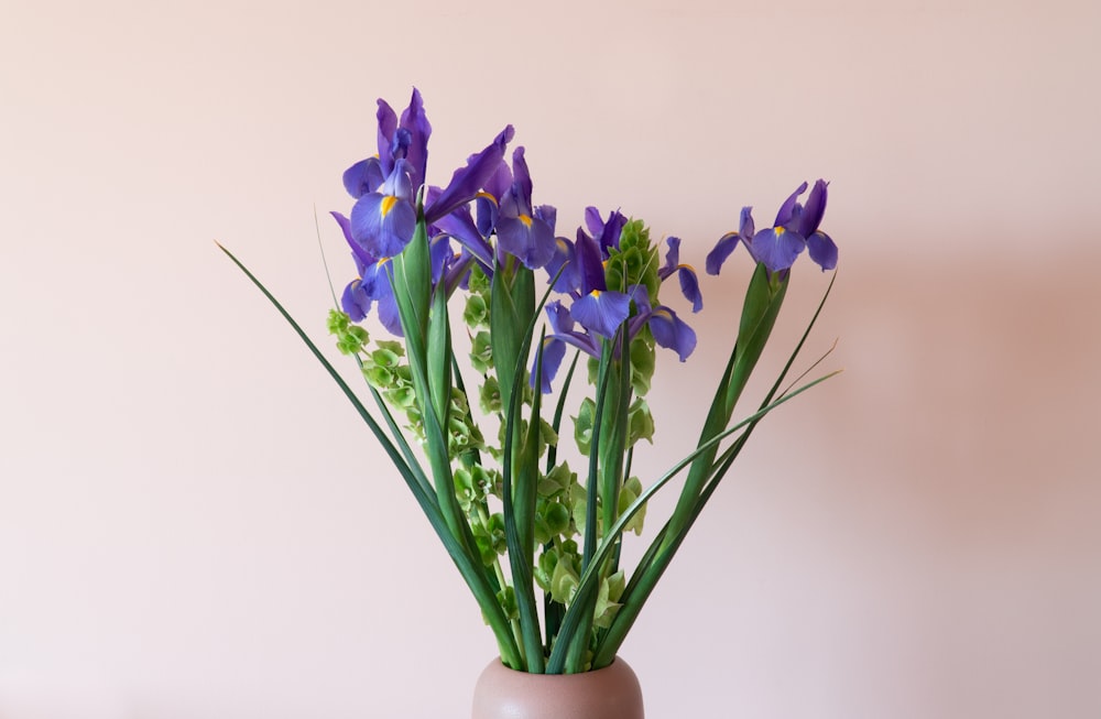 purple flowers in white ceramic vase